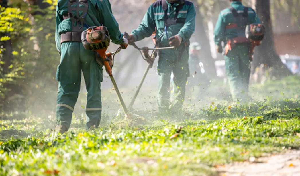 A group of workers in green uniforms mowing a grassy area with a string trimmer on a sunny day. Dust and grass debris rise as they work, with trees and foliage in the background.