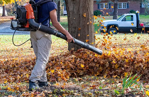 picture with a pile of leaves and a near industrial level and residential level leaf cleanup